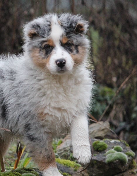 Publication : Des plaines du Montois Auteur : Angélica RAGEADE