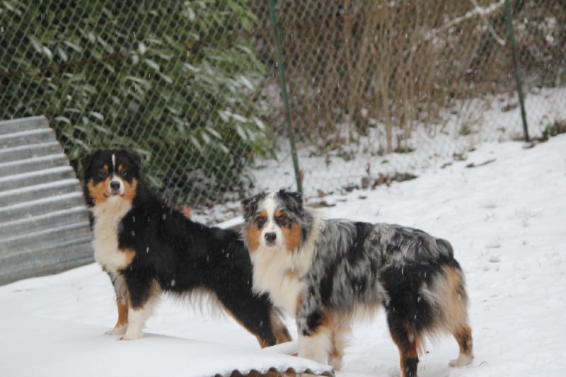 Publication : Des plaines du Montois Auteur : Angélica RAGEADE