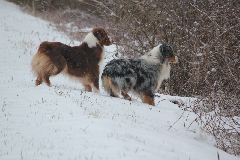 Publication : Des plaines du Montois Auteur : Angélica RAGEADE