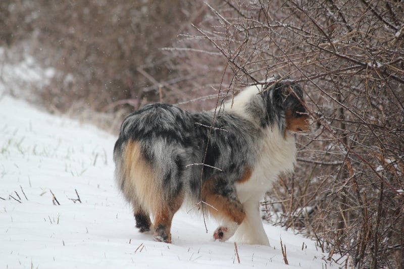 Publication : Des plaines du Montois Auteur : Angélica RAGEADE