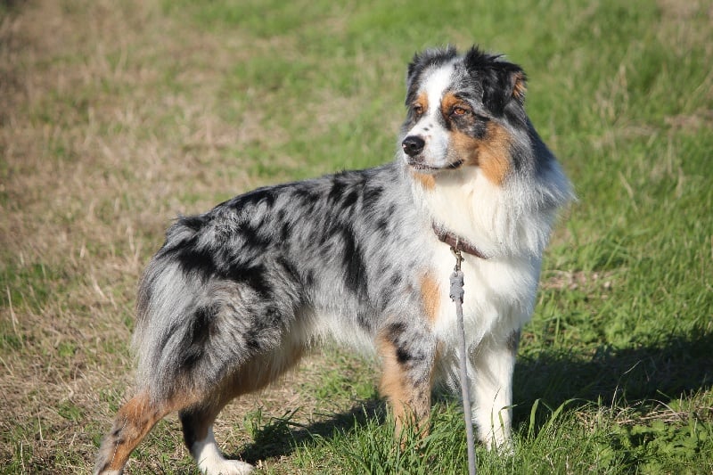 Publication : Des plaines du Montois Auteur : Angélica RAGEADE