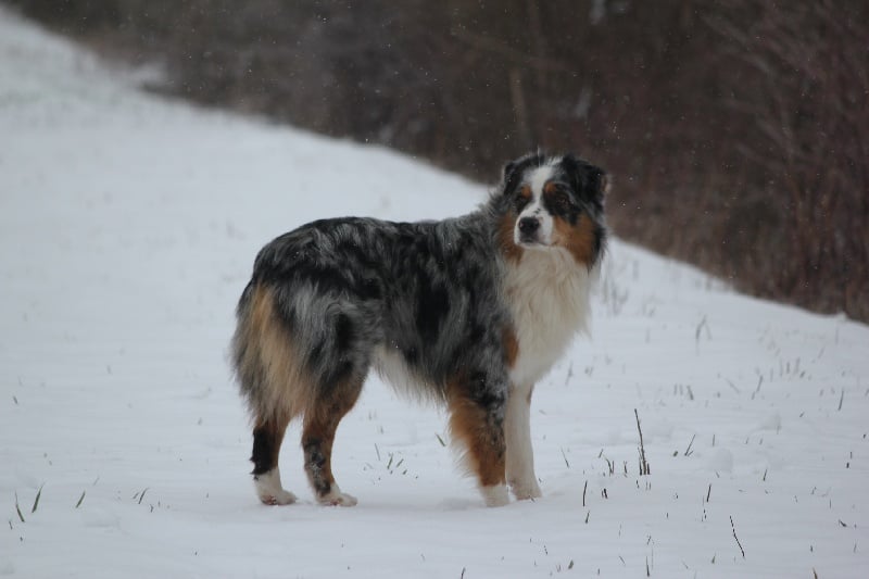 Publication : Des plaines du Montois Auteur : Angélica RAGEADE