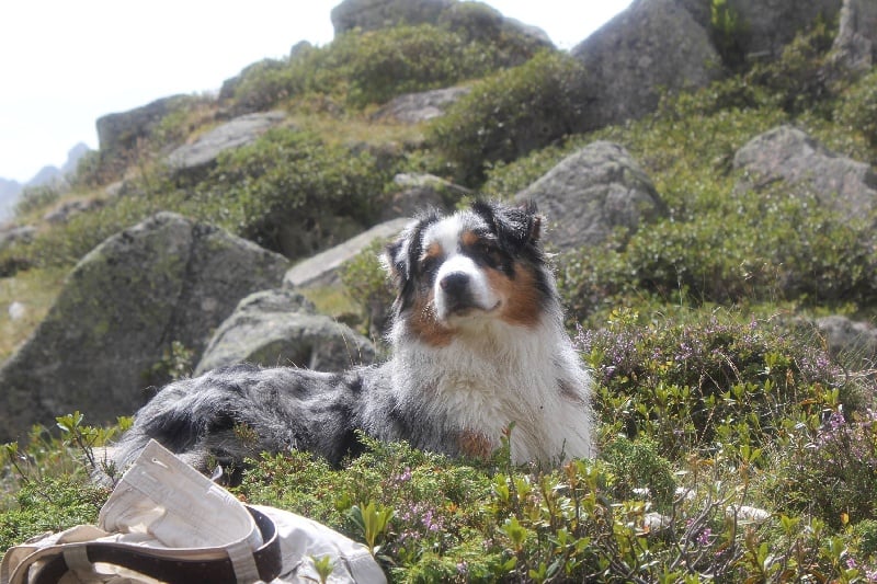 Publication : Des plaines du Montois Auteur : Angélica RAGEADE