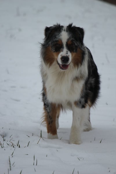 Publication : Des plaines du Montois Auteur : Angélica RAGEADE