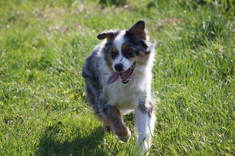 Publication : Des plaines du Montois Auteur : Angélica RAGEADE