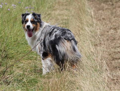 Publication : Des plaines du Montois Auteur : Angélica RAGEADE