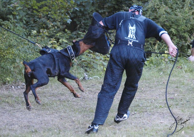 Publication : of Sweet Black Dreams