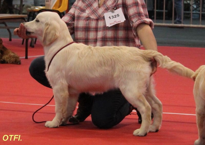 Jazz spirit Of tutti frutti island - ère très prometteur classe baby.