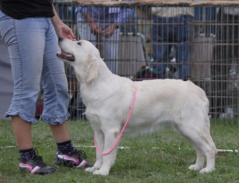 Jazz spirit Of tutti frutti island - 3ème excellent classe jeune.