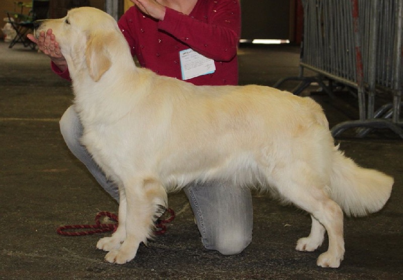 Jazz spirit Of tutti frutti island - 1ère excellent classe intermédiaire, RCACS