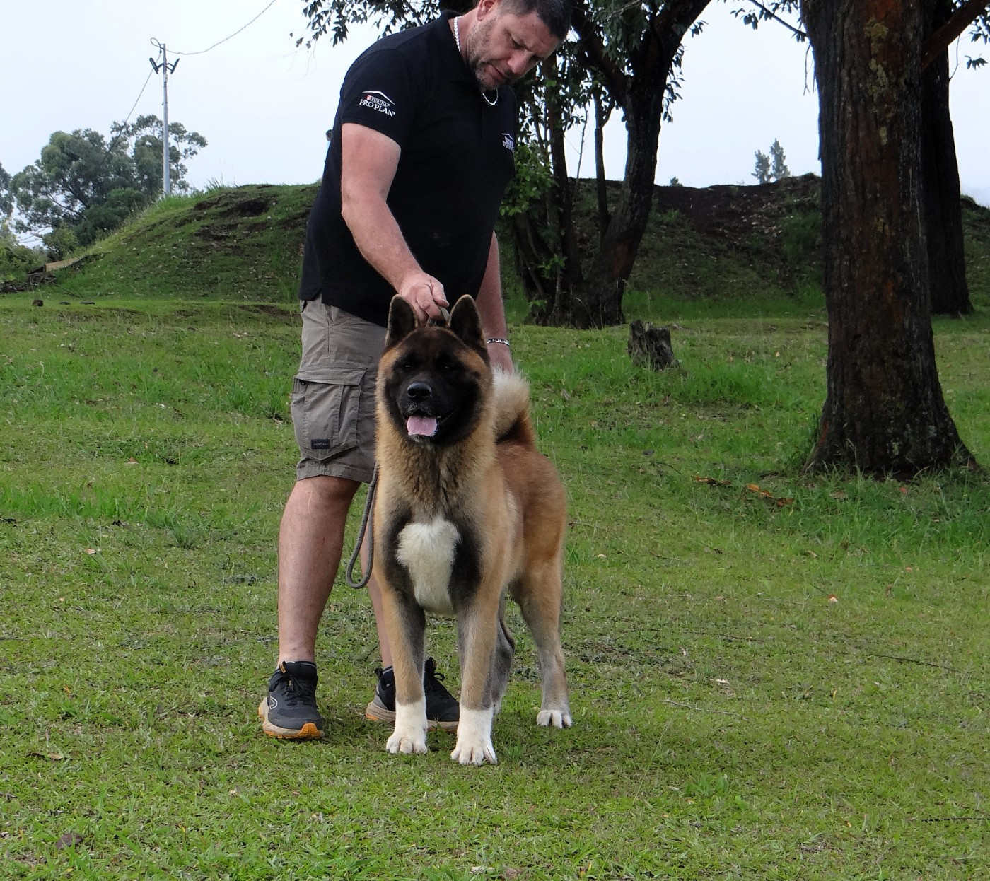 Vixen Des Gardiens De L'arche De Noé