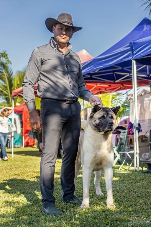 Iouky des sphinx du clair de lune - C.O.M. 1er Excellent, RCACS