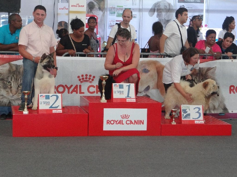 Hasia des sphinx du clair de lune - 2ème MEILLEUR DE GROUPE