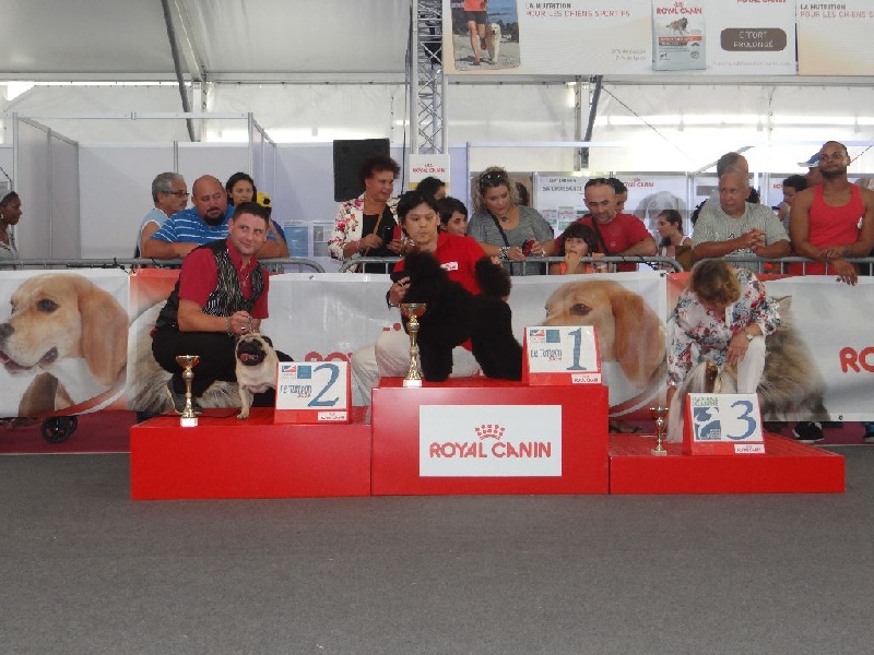 Fiorellino Homere - 2ème MEILLEUR DE GROUPE