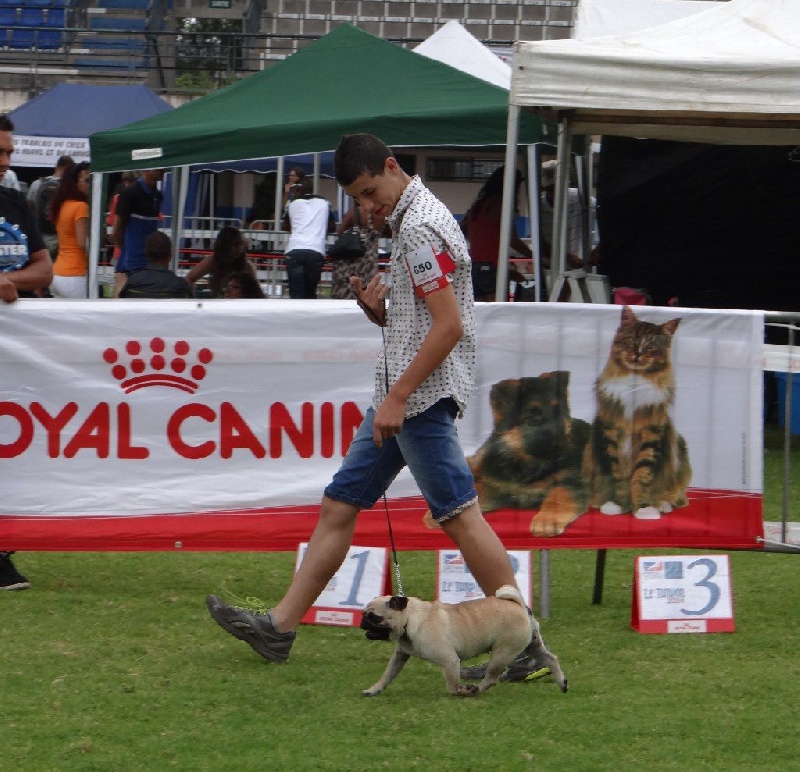 Dreamlander I wish you a merry life (lucie) - 1ère EXCELLENT CLASSE JEUNE