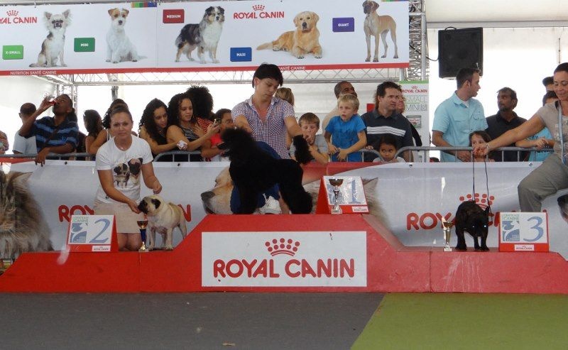 Fiorellino Homere - 2ème MEILLEUR DE GROUPE