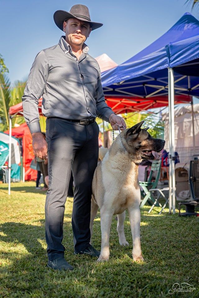 Iouky des sphinx du clair de lune - C.O.M. 1er Excellent, RCACS, RCACIB