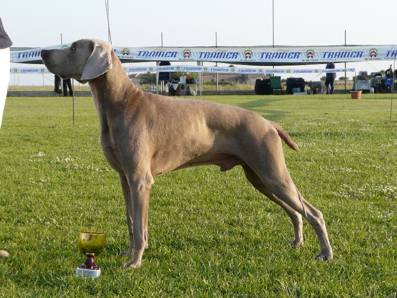 Publication : di Greysbeth Auteur : GREYSBETH