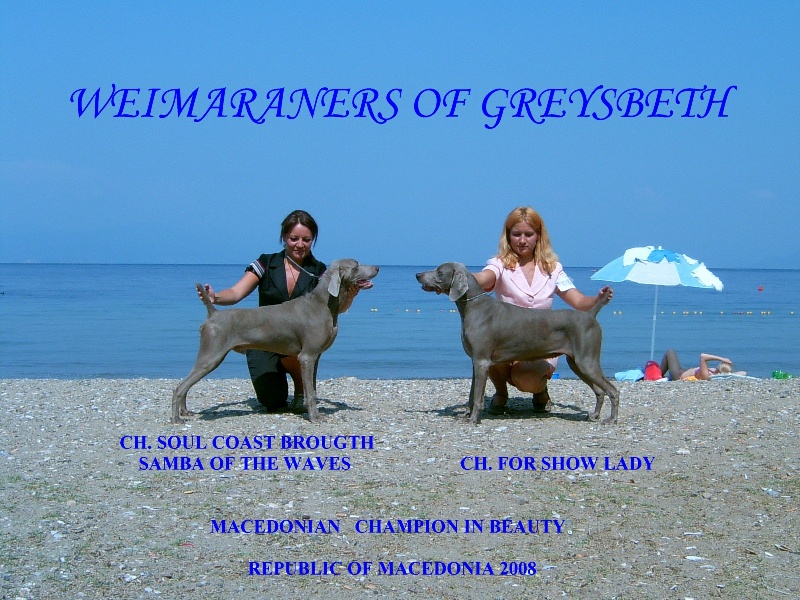 Publication : di Greysbeth Auteur : GREYSBETH