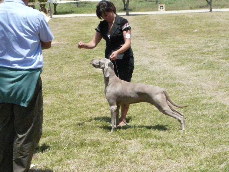 Publication : di Greysbeth Auteur : GREYSBETH