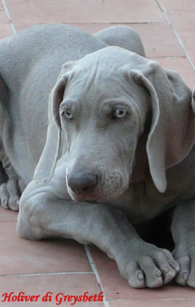 Publication : di Greysbeth Auteur : BETH