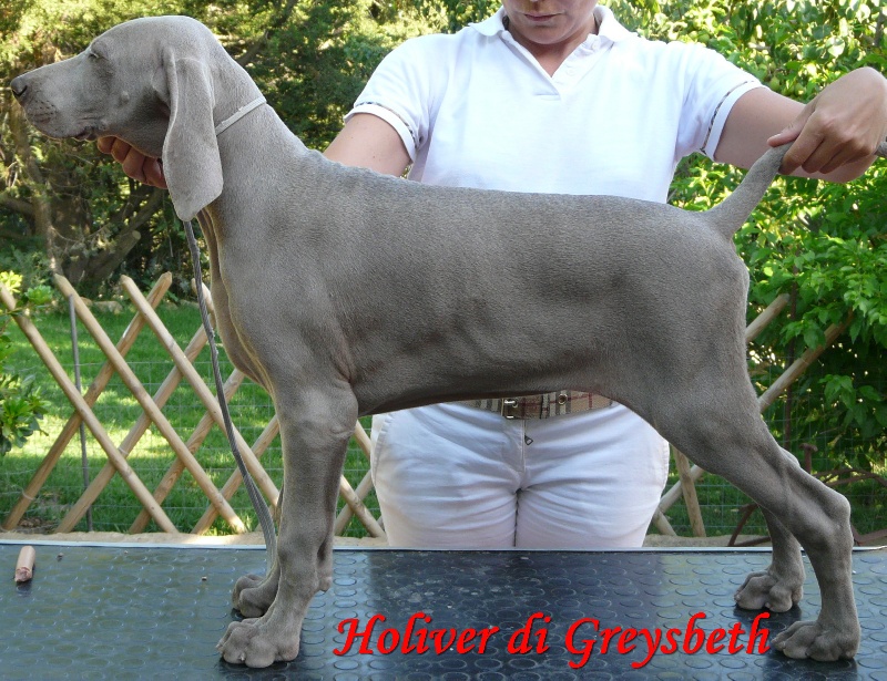 Publication : di Greysbeth Auteur : BETH