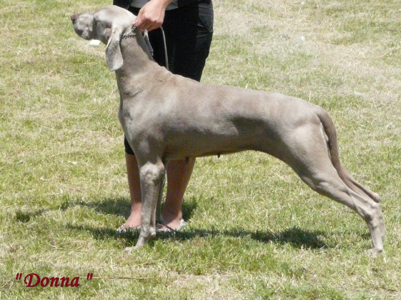 Publication : di Greysbeth Auteur : GREYSBETH