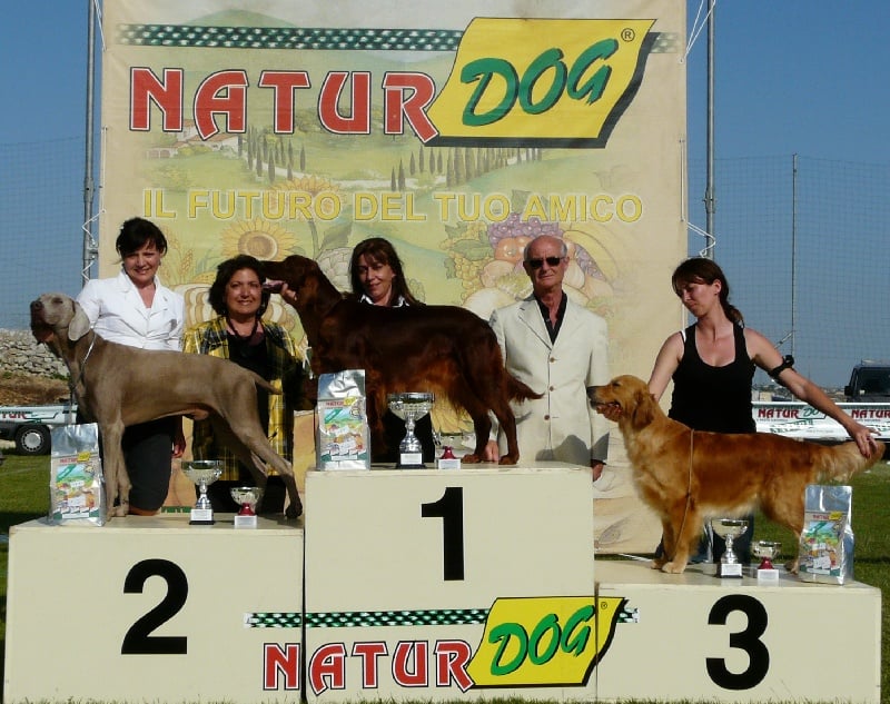 Publication : di Greysbeth Auteur : GREYSBETH