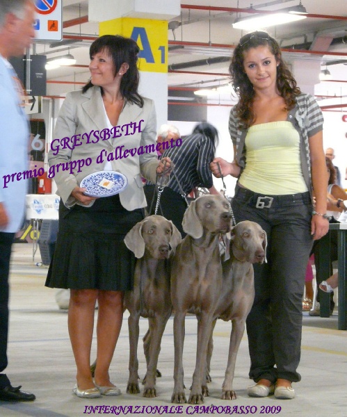 Publication : di Greysbeth Auteur : GREYSBETH