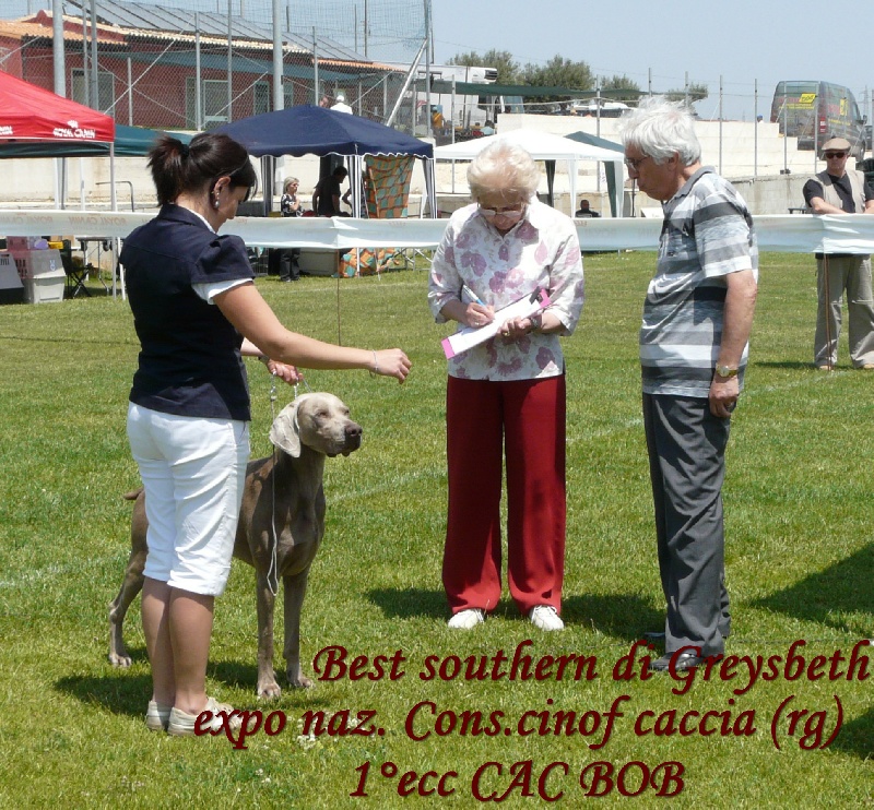 Publication : di Greysbeth Auteur : GREYSBETH