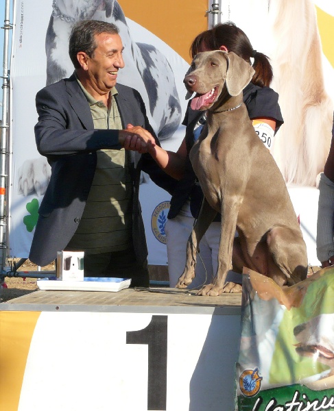 Publication : di Greysbeth Auteur : GREYSBETH