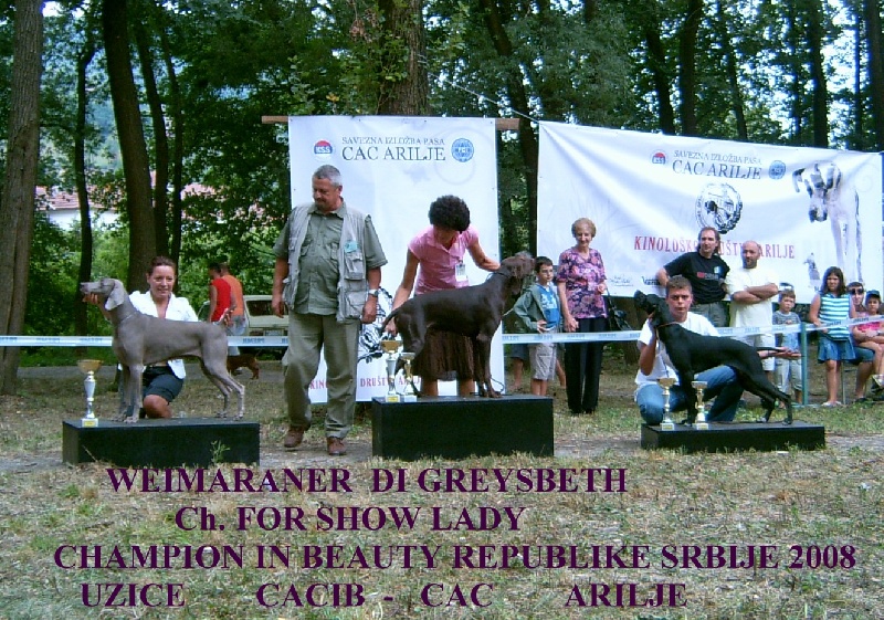 Publication : di Greysbeth Auteur : GREYSBETH