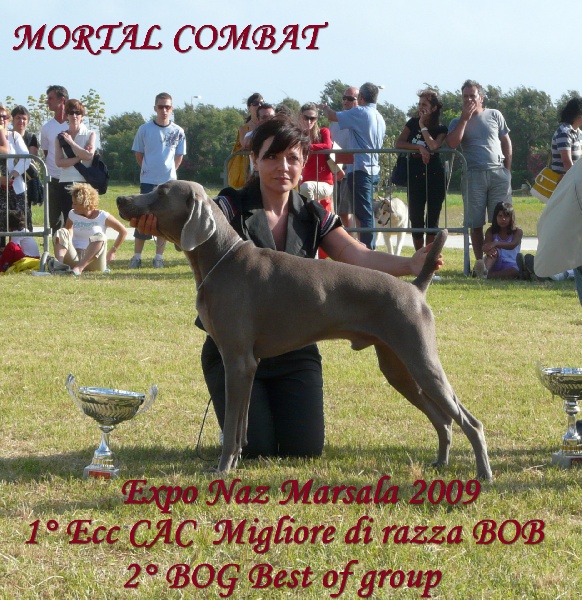 Publication : di Greysbeth