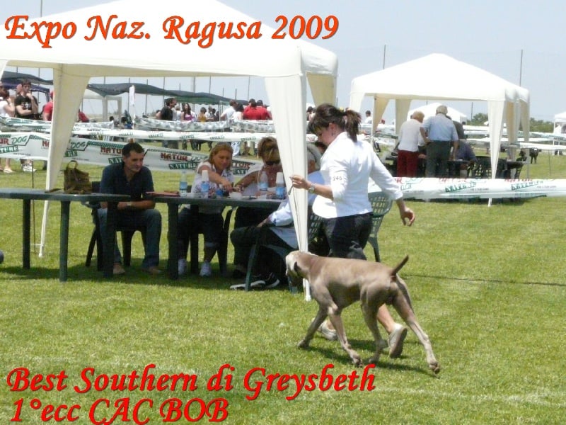 Publication : di Greysbeth Auteur : GREYSBETH