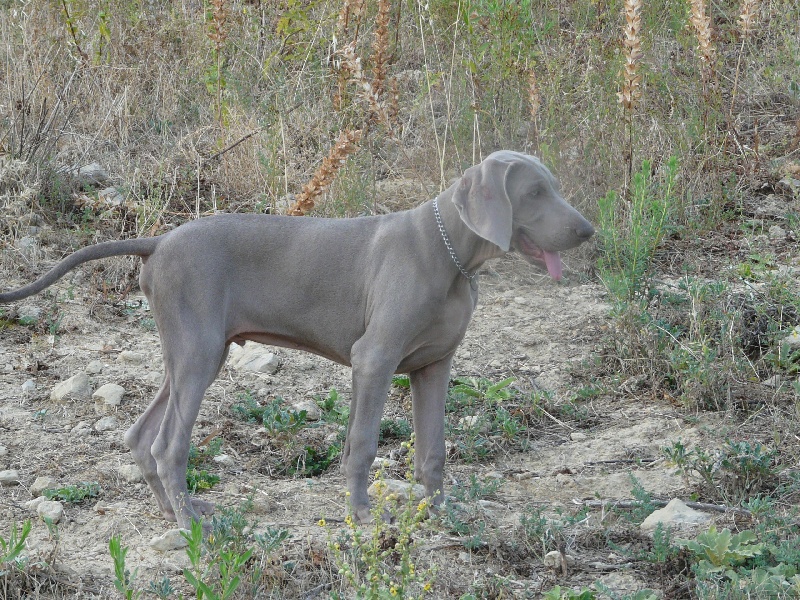 Publication : di Greysbeth Auteur : BETH