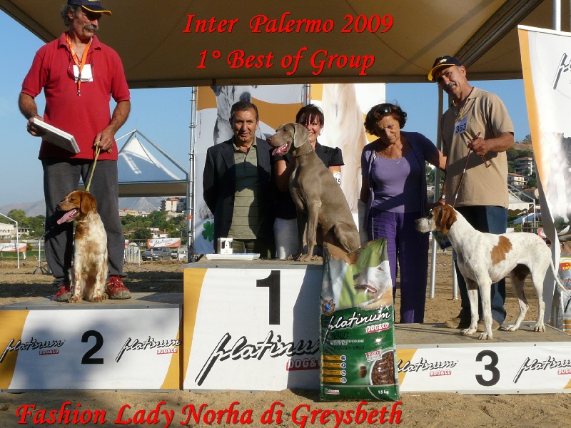 Publication : di Greysbeth Auteur : GREYSBETH