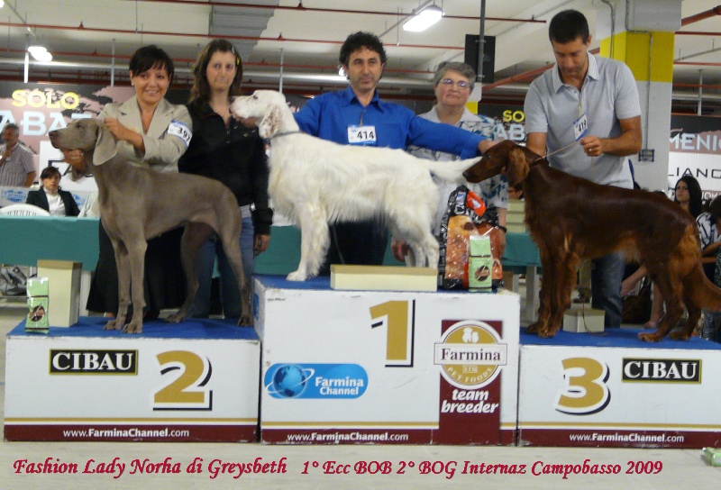 Publication : di Greysbeth Auteur : GREYSBETH