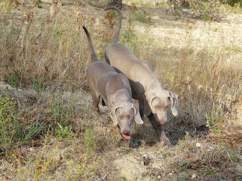 Publication : di Greysbeth Auteur : BETH