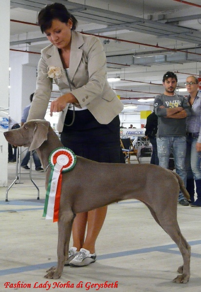 Publication : di Greysbeth Auteur : GREYSBETH