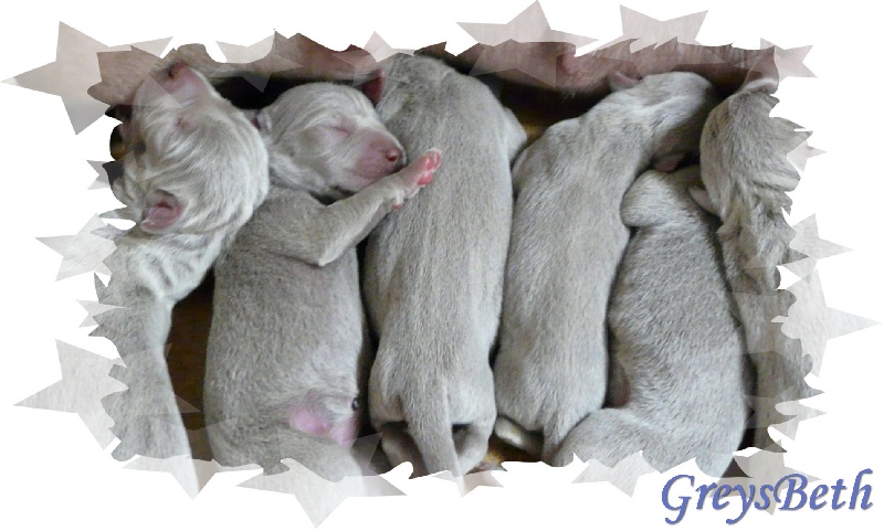 Publication : di Greysbeth Auteur : BETH