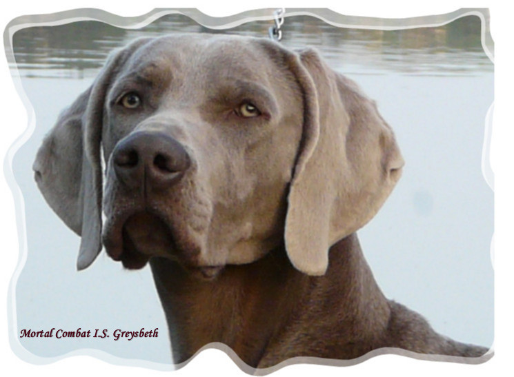 Publication : di Greysbeth