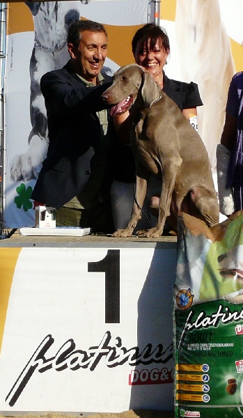 Publication : di Greysbeth Auteur : GREYSBETH