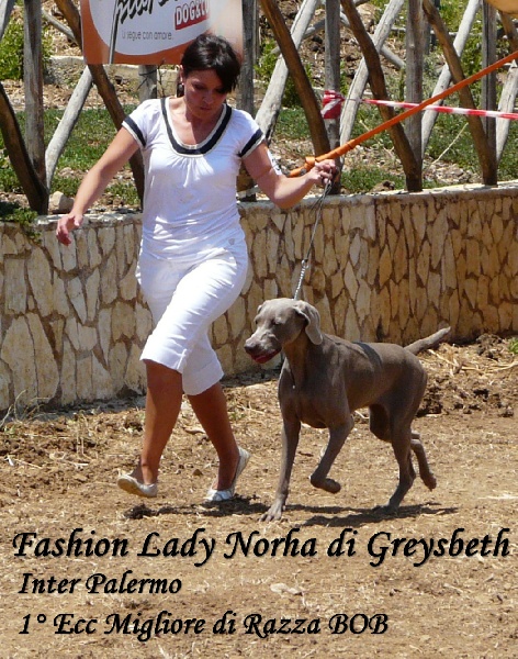 Publication : di Greysbeth Auteur : GREYSBETH