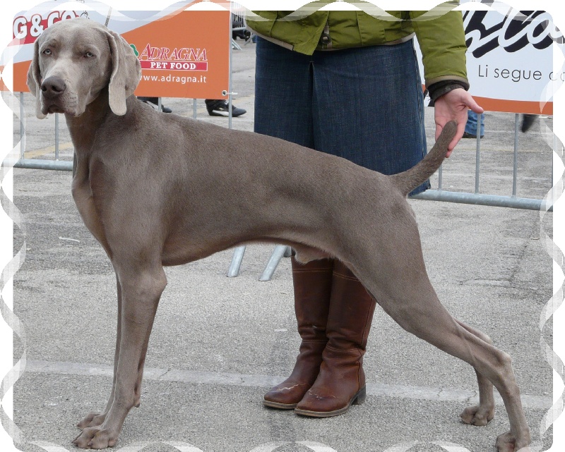 Publication : di Greysbeth