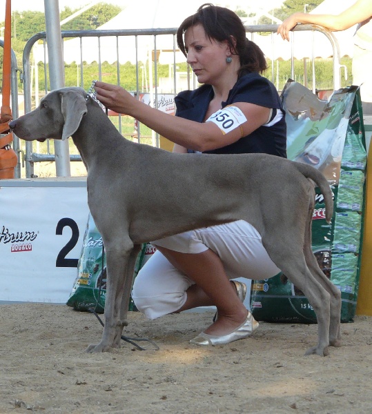 Publication : di Greysbeth Auteur : GREYSBETH