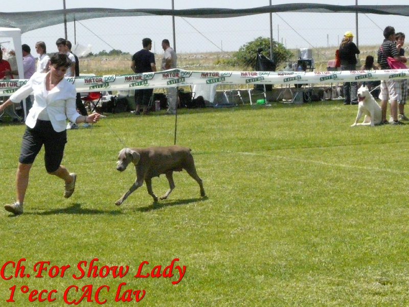 Publication : di Greysbeth Auteur : GREYSBETH