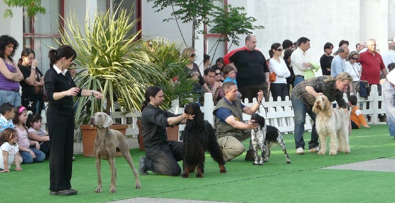 Publication : di Greysbeth Auteur : GREYSBETH