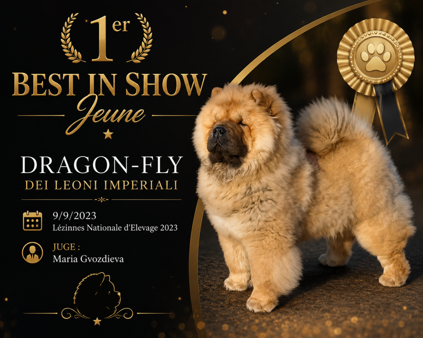 Dragon-fly dei leoni imperiali - 1er Best In Show Jeune