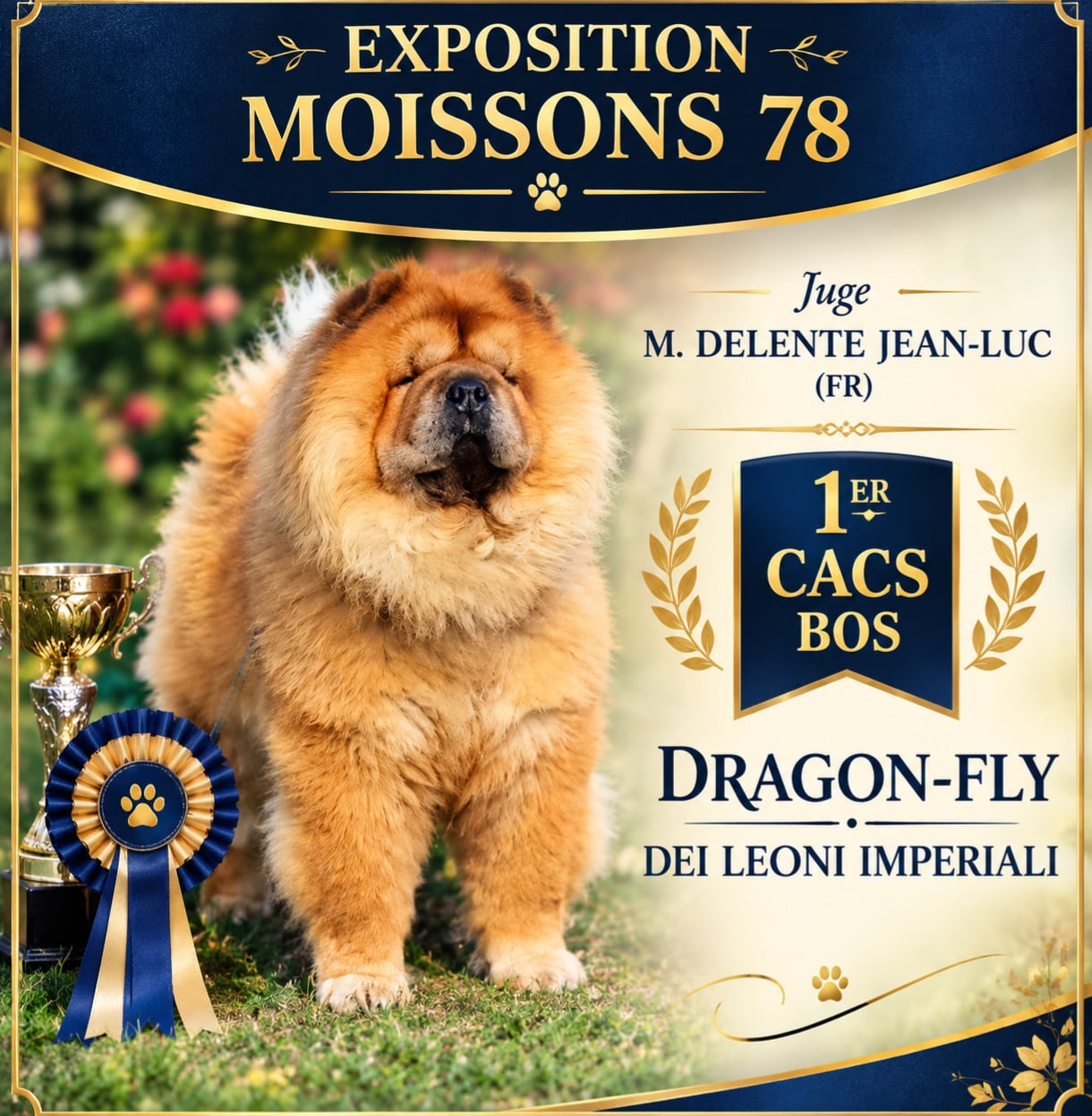 Dragon-fly dei leoni imperiali - 1er Cac Bos