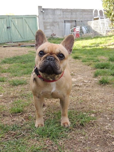 Look me de Dalton Family Passion